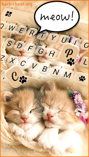 Sleeping Cute Kitten Keyboard Background screenshot