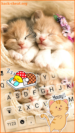 Sleeping Cute Kitten Keyboard Background screenshot