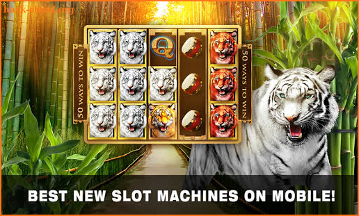 Slots Tiger King Casino Slots screenshot