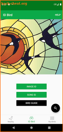 Smart Bird ID screenshot