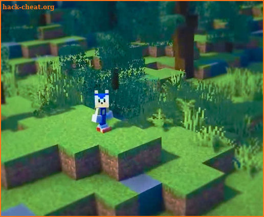 Sonicraft : Sonic Hedgehog Mod screenshot