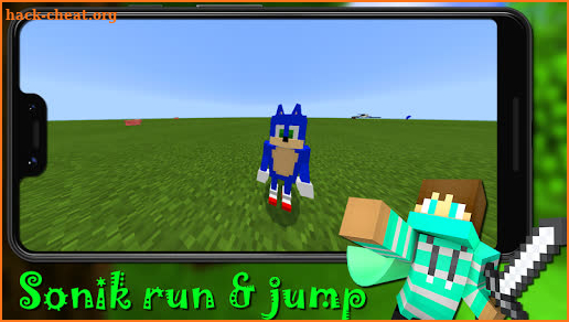 Sonik to Minecraft screenshot