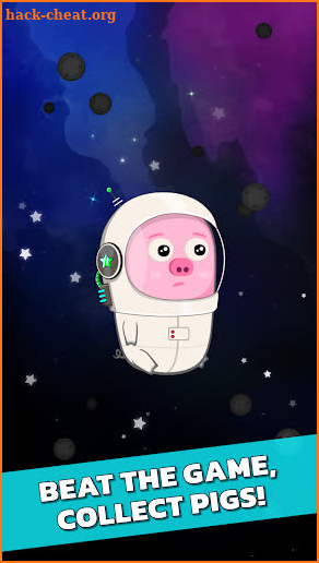 Space Pig Simulator screenshot