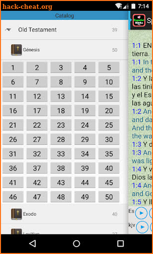 Spanish-English Audio Bible + screenshot