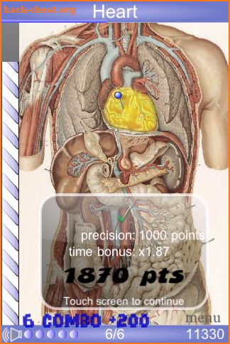 Speed Anatomy Quiz Free screenshot