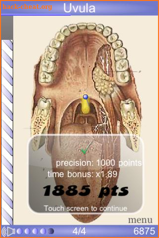 Speed Anatomy Quiz Free screenshot