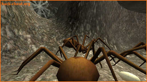 Spider Nest Simulator - insect and 3d animal game screenshot