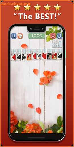 Spider Solitaire Deluxe® 2 screenshot