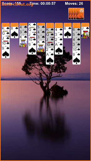 Spider Solitaire Pro - No Ads screenshot