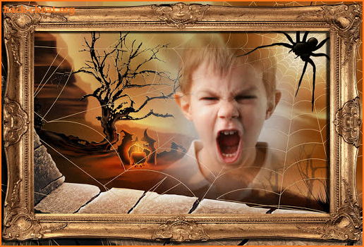 Spider Web Photo Frame Effects screenshot