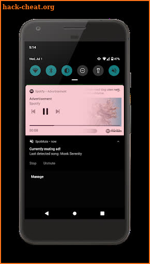SpotMute - Mute ads screenshot