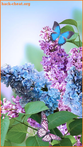 Spring Flowers Live Wallpaper screenshot