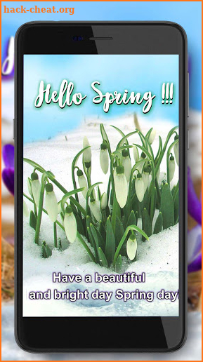 Spring Wishes and Greetings screenshot