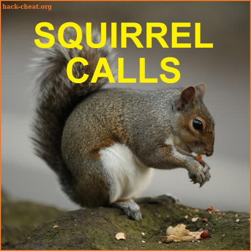 Squirrel Hunting Calls screenshot