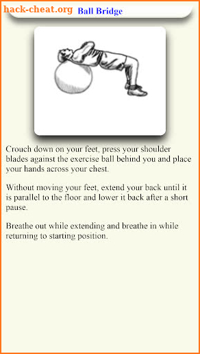 Stability Ball workout Exercise - Ball Exercise screenshot