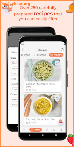 Start Solids & Baby Recipes screenshot