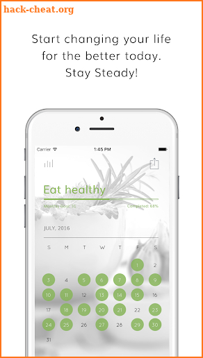 Steady Calendar: the Beautiful Habit Tracker screenshot
