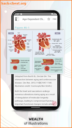 Stoelting Anesthetic Practice screenshot