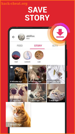 Story Saver for Instagram screenshot