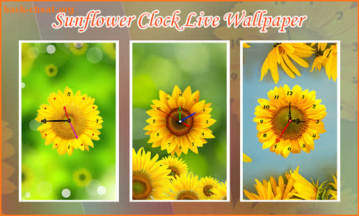 Sunflower Clock Live Wallpaper screenshot