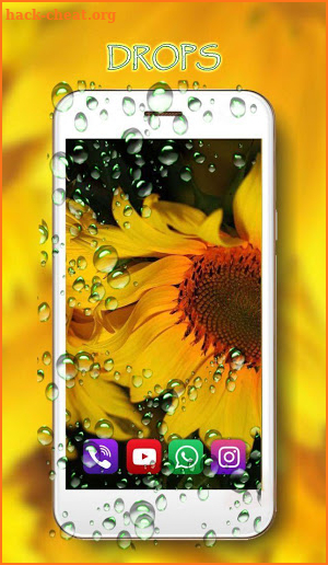 Sunflowers Summer screenshot