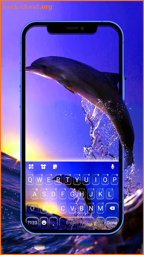 Sunset Dolphin Keyboard Background screenshot