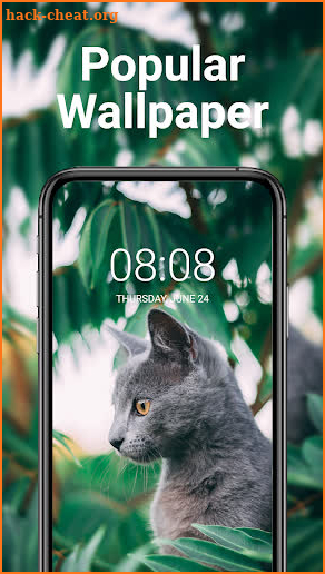 SuperWallpaper-for mobile screenshot