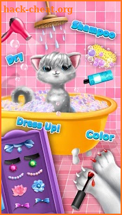 Sweet Baby Girl Cat Shelter screenshot