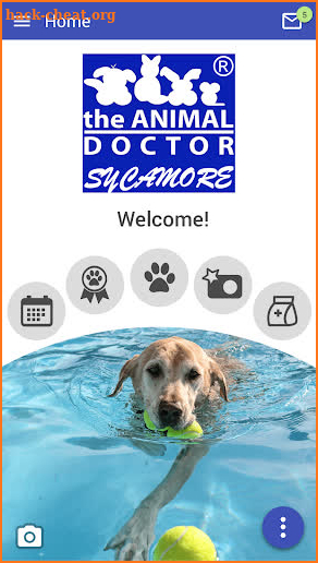 Sycamore Animal Hospital screenshot