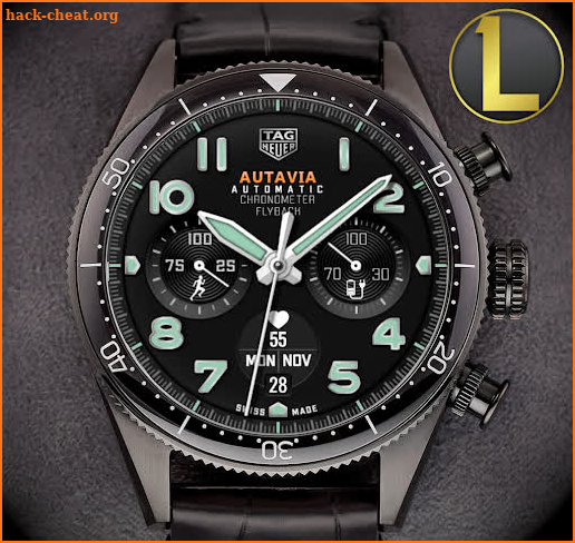 TAG Autavia Analog screenshot