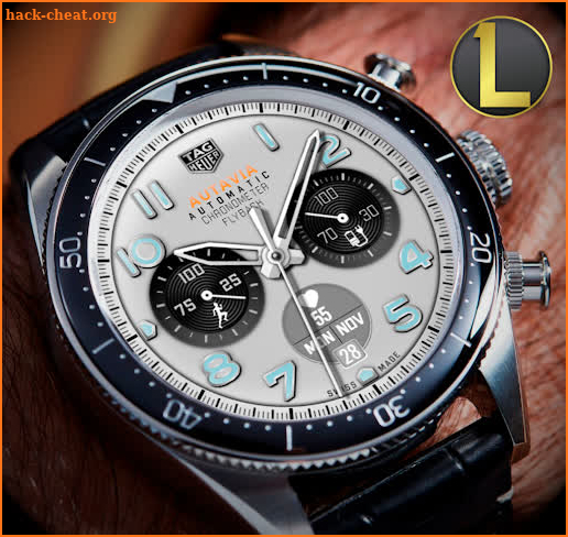 TAG Autavia Analog screenshot