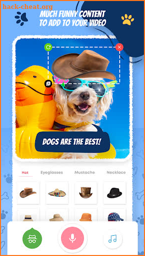 Talking Animal, Singing Pet screenshot