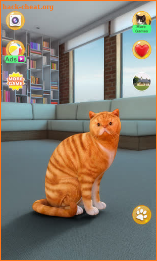 Talking Shorthair Cat screenshot