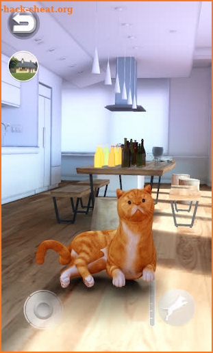 Talking Shorthair Cat screenshot