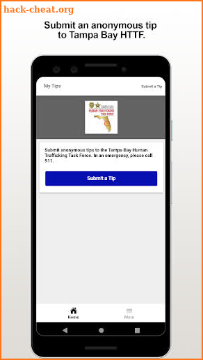 Tampa Bay Human Trafficking Task Force screenshot
