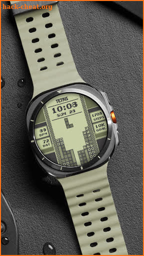 Tetris™ 1989 SE Watch Face screenshot