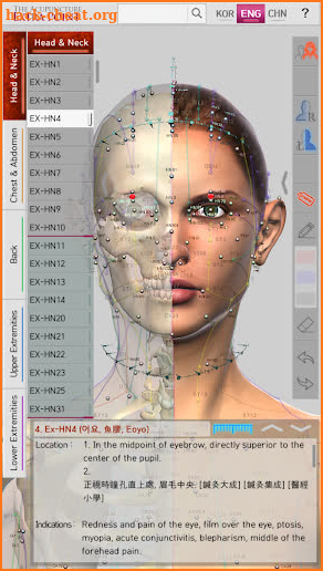 The Acupuncture of Extra Point screenshot