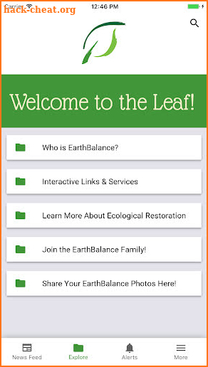 The EarthBalance Leaf screenshot