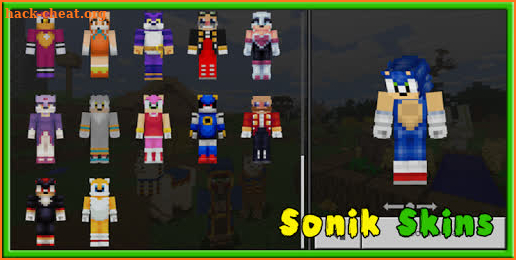 The Hedgehog Sonik Skins screenshot