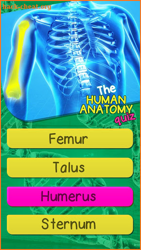 The Human Anatomy Quiz App On Human Body Organs screenshot