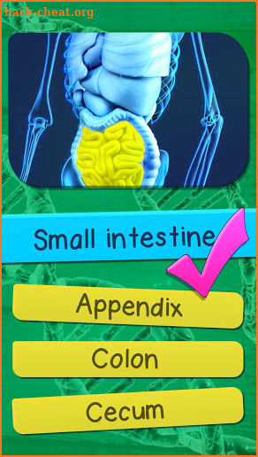 The Human Anatomy Quiz App On Human Body Organs screenshot