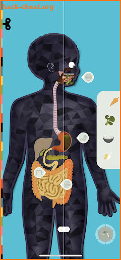 The Human Body by Tinybop screenshot