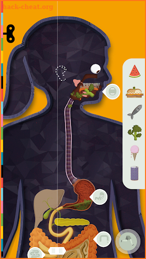 The Human Body by Tinybop screenshot