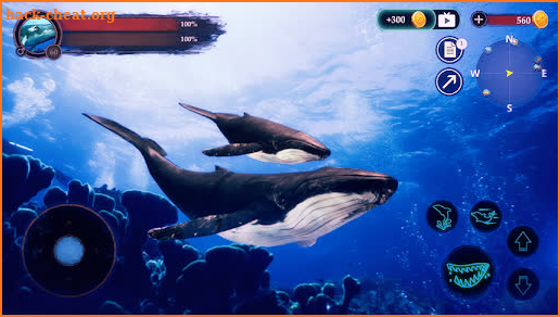 The Humpback Whales screenshot