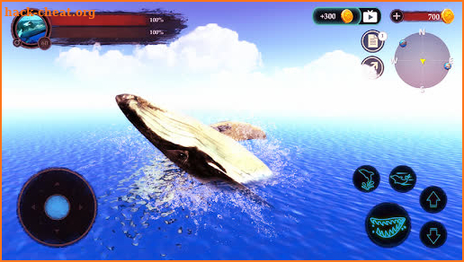 The Humpback Whales screenshot