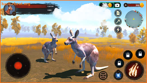 The Kangaroo screenshot