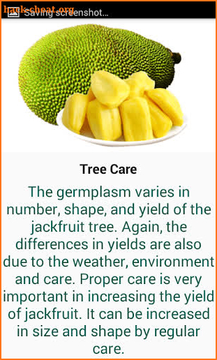 The Method Of Cultivating Jackfruit screenshot