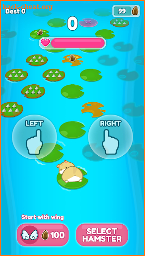 The Rainbow Jump Hamster - Animal Tap Adventure screenshot