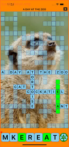 Theme Crosswords screenshot