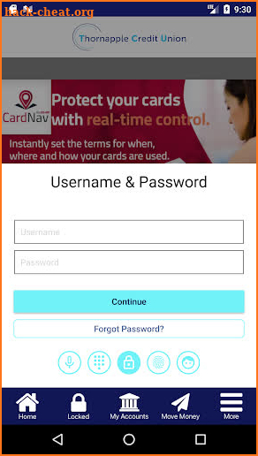 Thornapple Credit Union screenshot